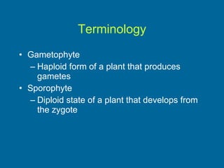 Terminology Gametophyte Haploid form of a plant that produces gametes Sporophyte Diploid state of a plant that develops from the zygote 