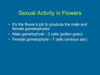 Sexual Activity in Flowers It's the flower's job to produce the male and female gametophytes Male gametophyte - 2 cells (pollen grain) Female gametophyte - 7 cells (embryo sac)  