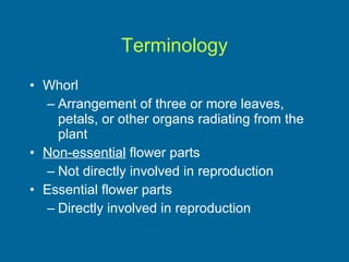 Terminology Whorl Arrangement of three or more leaves, petals, or other organs radiating from the plant Non-essential  flower parts  Not directly involved in reproduction Essential flower parts Directly involved in reproduction 