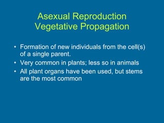 Asexual Reproduction Vegetative Propagation Formation of new individuals from the cell(s) of a single parent. Very common in plants; less so in animals All plant organs have been used, but stems are the most common 