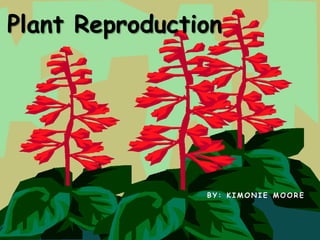 Plant Reproduction




                BY: KIMONIE MOORE
 