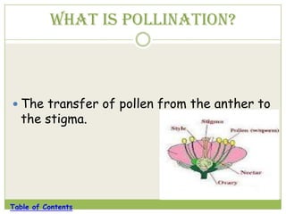 Plant Reproduction | PPTX