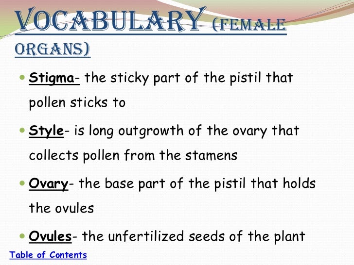 Plant Reproduction