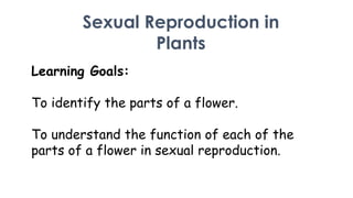 Sexual Reproduction in
Plants
Learning Goals:

To identify the parts of a flower.
To understand the function of each of the
parts of a flower in sexual reproduction.

 