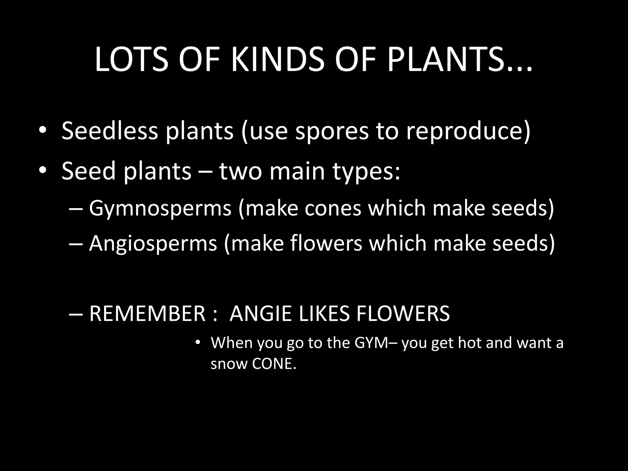Plant Reproduction PPT