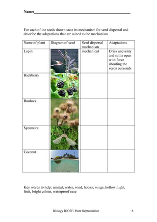 Name:____________________________________________________ 
For each of the seeds shown state its mechanism for seed dispersal and 
describe the adaptations that are suited to the mechanism 
Name of plant Diagram of seed Seed dispersal 
mechanism 
Adaptations 
Lupin 
mechanical Dries unevenly 
and splits open 
with force 
shooting the 
seeds outwards 
Biology IGCSE: Plant Reproduction 8 
Backberry 
Burdock 
Sycamore 
Coconut 
Key words to help: animal, water, wind, hooks, wings, hollow, light, 
fruit, bright colour, waterproof case 
 
