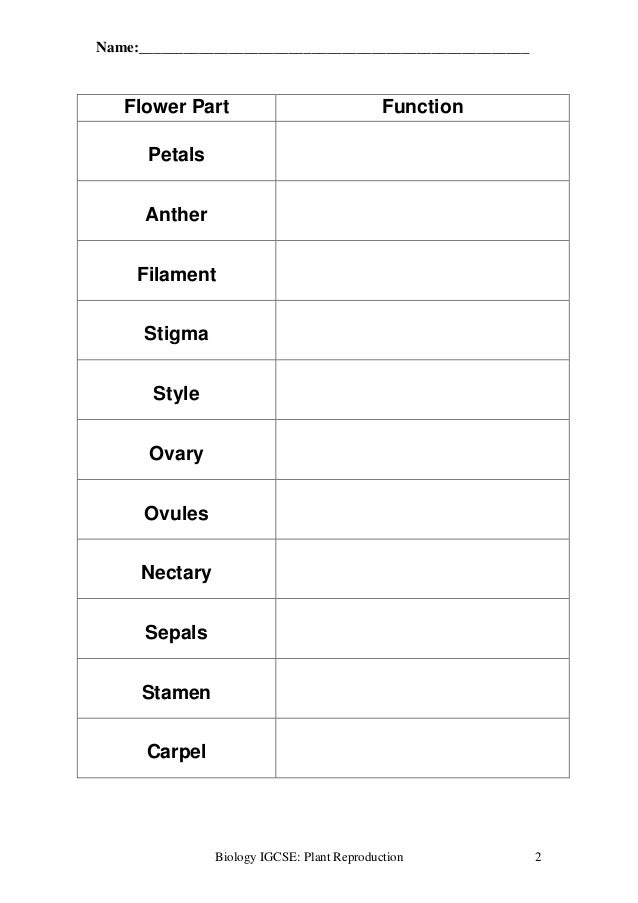 plant reproduction worksheet 2 638