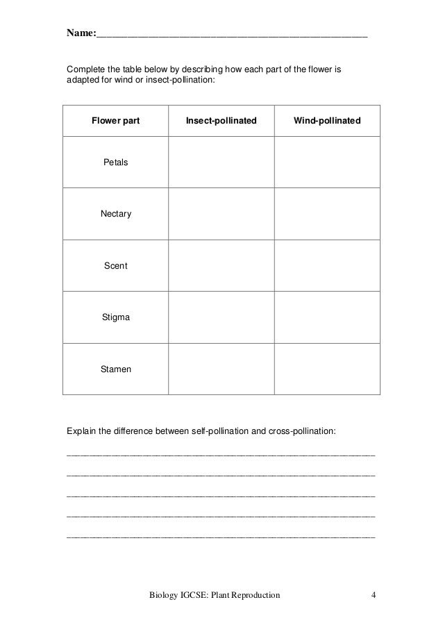 Plant Reproduction Worksheet