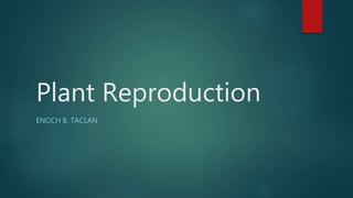 Plant Reproduction
ENOCH B. TACLAN
 