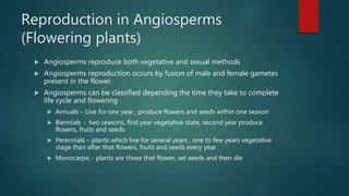 Reproduction in Angiosperms
(Flowering plants)
 Angiosperms reproduce both vegetative and sexual methods
 Angiosperms reproduction occurs by fusion of male and female gametes
present in the flower.
 Angiosperms can be classified depending the time they take to complete
life cycle and flowering
 Annuals – Live for one year , produce flowers and seeds within one season
 Biennials - two seasons, first year vegetative state, second year produce
flowers, fruits and seeds
 Perennials – plants which live for several years , one to few years vegetative
stage then after that flowers, fruits and seeds every year
 Monocarpic - plants are those that flower, set seeds and then die
 