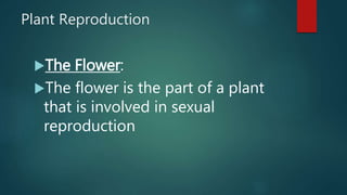 Plant Reproduction
The Flower:
The flower is the part of a plant
that is involved in sexual
reproduction
 