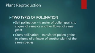 Plant Reproduction
TWO TYPES OF POLLINATION
Self pollination – transfer of pollen grains to
stigma of same or another flower of same
plant
Cross pollination – transfer of pollen grains
to stigma of a flower of another plant of the
same species
 