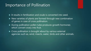 Importance of Pollination
 It results in fertilization and ovule is converted into seed.
 New varieties of plants are formed through new combination
of genes in case of cross pollination.
 During pollination pollen tube produces growth hormones
which convert ovary into fruit.
 Cross pollination is brought about by various external
agencies such as, wind, insects, water, birds and other animals.
 
