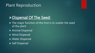 Plant Reproduction
Dispersal Of The Seed:
 The major function of the fruit is to scatter the seed
of the plant
 Animal Dispersal
 Wind Dispersal
 Water Dispersal
 Self Dispersal
 