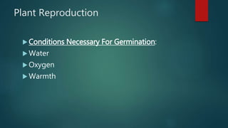 Plant Reproduction
 Conditions Necessary For Germination:
 Water
 Oxygen
 Warmth
 