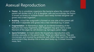 Asexual Reproduction
 Fission : As in unicellular organisms like bacteria where the content of the
parent cell divides into 2, 4 or 8 daughter cells and accordingly the fission
is known as binary or multiple fission. Each newly formed daughter cell
grows into a new organism.
 Budding : A bud like outgrowth is formed on one side of the parent cell
and soon it separates and grows into a new individual e.g. in yeast.
 Fragmentation : In filamentous algae, an accidental breaking of the
filament into many fragments, each fragment may give rise to a new
filament of the algae by cell division e.g. Spirogyra, green algae.
 Spore formation : In lower plants like bryophytes reproductive units
develop asexually on the parent body. These are called spores. They are
microscopic and covered by protective wall. When they reach the suitable
environment they develop into a new plant body e.g. in bread moulds,
moss, fern.
 