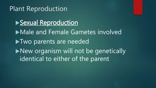 Plant Reproduction
Sexual Reproduction
Male and Female Gametes involved
Two parents are needed
New organism will not be genetically
identical to either of the parent
 