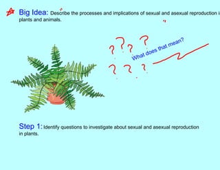 Big Idea: Describe the processes and implications of sexual and asexual reproduction in
plants and animals.
Step 1:Identify questions to investigate about sexual and asexual reproduction
in plants.
 