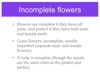 Plant reproduction | PPT