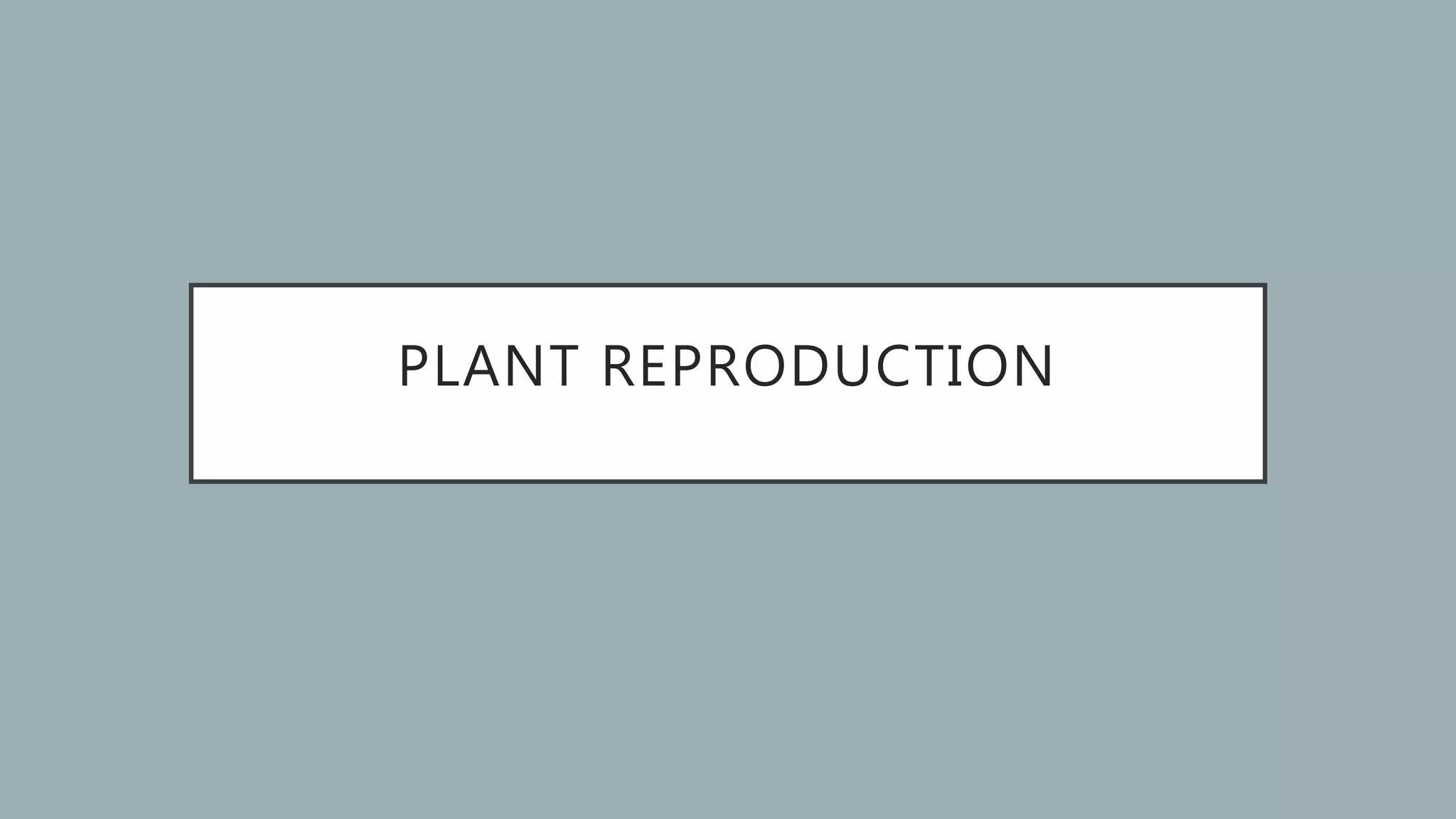 Plant reproductiongrade 5 PPT