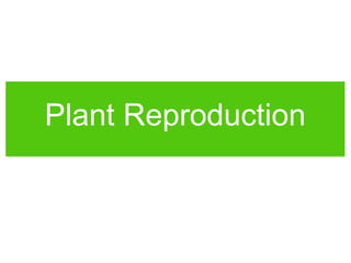 Plant Reproduction
 