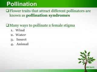 Flower traits that attract different pollinators are
known as pollination syndromes
Many ways to pollinate a female stigma
1. Wind
2. Water
3. Insect
4. Animal
Pollination
 