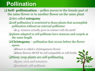  Self- pollinization – pollen moves to the female part of
the same flower or to another flower on the same plant
also called autogamy
self pollination is restricted to those plants that accomplish
pollination without an external pollinator
e.g. stamens actually grow in contact with the pistil
plants adapted to self-pollinate have stamens and carpels at
the same length
Cleistogamy – pollination that occurs before the flower
opens
flower is called a cleistogamous flower
these flowers MUST be self compatible or self-fertile
Many crop plants are self-pollinating
peas, corn and tomatoes
routinely self-pollinate
Pollination
 