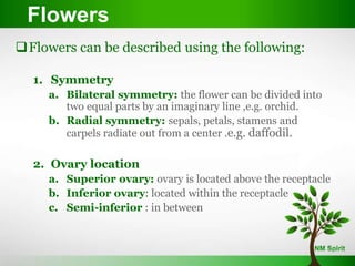 Flowers can be described using the following:
1. Symmetry
a. Bilateral symmetry: the flower can be divided into
two equal parts by an imaginary line ,e.g. orchid.
b. Radial symmetry: sepals, petals, stamens and
carpels radiate out from a center .e.g. daffodil.
2. Ovary location
a. Superior ovary: ovary is located above the receptacle
b. Inferior ovary: located within the receptacle
c. Semi-inferior : in between
Flowers
 