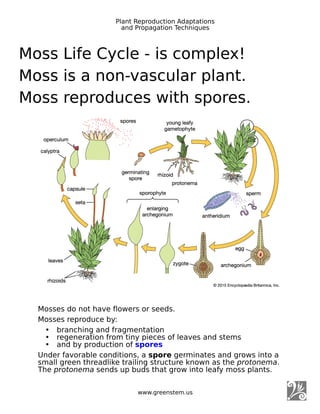 Plant Reproduction and Propagation Techniques - Showcase by Mary Van ...
