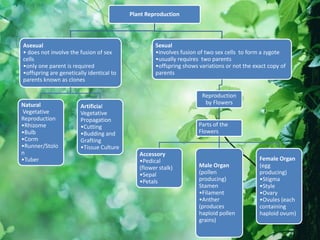 Plant Reproduction
Asexual
• does not involve the fusion of sex
cells
•only one parent is required
•offspring are genetically identical to
parents known as clones
Natural
Vegetative
Reproduction
•Rhizome
•Bulb
•Corm
•Runner/Stolo
n
•Tuber
Artificial
Vegetative
Propagation
•Cutting
•Budding and
Grafting
•Tissue Culture
Sexual
•involves fusion of two sex cells to form a zygote
•usually requires two parents
•offspring shows variations or not the exact copy of
parents
Reproduction
by Flowers
Parts of the
Flowers
Accessory
•Pedical
(flower stalk)
•Sepal
•Petals
Male Organ
(pollen
producing)
Stamen
•Filament
•Anther
(produces
haploid pollen
grains)
Female Organ
(egg
producing)
•Stigma
•Style
•Ovary
•Ovules (each
containing
haploid ovum)
 