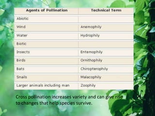Cross pollination increases variety and can give rise
to changes that help species survive.
 