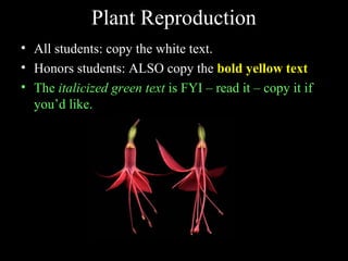 Plant Reproduction
• All students: copy the white text.
• Honors students: ALSO copy the bold yellow text
• The italicized green text is FYI – read it – copy it if
you’d like.
 