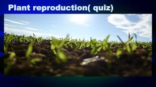 Plant reproduction( quiz)
 