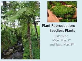 Plant Reproduction: Seedless Plants 8SCIENCE: Mon. Mar. 7thand Tues. Mar. 8th 