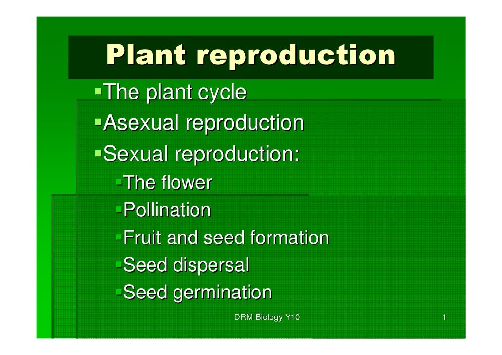 Plant Reproduction Y10