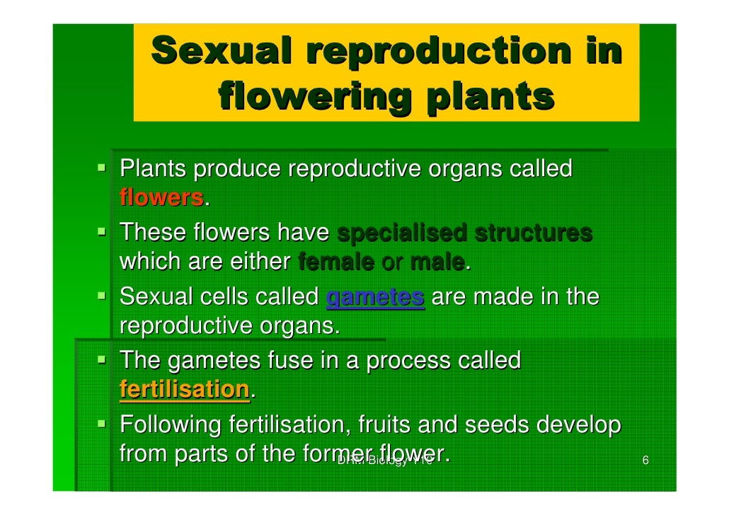 Plant reproduction y10