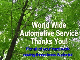 World Wide  Automotive Service  Thanks You!  For all of your hard work  saving those trees & plants!   