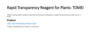 Rapid Transparency Reagent for Plants: TOMEI
TOMEI is clearing method suitable for observing only fluorescent staining dyes. It enables transparency in just a few hours (2 - 3
hours).
Product
T3530 Tissue-Clearing Reagent TOMEI [for Plants]
*T3530 is unavailable except in Japan, U.S. and Europe
 