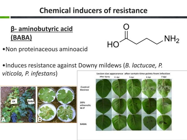 Plant resistance Inducers.ppt