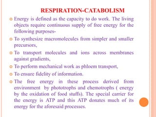 RESPIRATION-CATABOLISM
 Energy is defined as the capacity to do work. The living
objects require continuous supply of free energy for the
following purposes-
 To synthesize macromolecules from simpler and smaller
precursors,
 To transport molecules and ions across membranes
against gradients,
 To perform mechanical work as phloem transport,
 To ensure fidelity of information.
 The free energy in these process derived from
environment by phototrophs and chemotrophs ( energy
by the oxidation of food stuffs). The special carrier for
the energy is ATP and this ATP donates much of its
energy for the aforesaid processes.
 