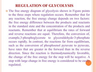 REGULATION OF GLYCOLYSIS
 The free energy diagram of glycolysis shown in Figure points
to the three steps where regulation occurs. Remember that for
any reaction, the free energy change depends on two factors:
the free energy difference between the products and reactants
in the standard state and the concentration of the products and
reactants. Remember that at equilibrium the rates of forward
and reverse reactions are equal. Therefore, the conversion of,
example,3‐phosphoglycerate to glyceraldehyde‐3‐phosphate
occurs rapidly. In contrast, the reactions far from equilibrium,
such as the conversion of phosphoenol pyruvate to pyruvate,
have rates that are greater in the forward than in the reverse
direction. Since the reaction is thermodynamically favorable,
the change of the free energy for the step will be negative. A
step with large change in free energy is considered to be easily
regulated.
 