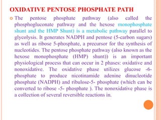OXIDATIVE PENTOSE PHOSPHATE PATH
 The pentose phosphate pathway (also called the
phosphogluconate pathway and the hexose monophosphate
shunt and the HMP Shunt) is a metabolic pathway parallel to
glycolysis. It generates NADPH and pentose (5-carbon sugars)
as well as ribose 5-phosphate, a precursor for the synthesis of
nucleotides. The pentose phosphate pathway (also known as the
hexose monophosphate (HMP) shunt)) is an important
physiological process that can occur in 2 phases: oxidative and
nonoxidative. The oxidative phase utilizes glucose -6-
phosphate to produce nicotinamide adenine dinucleotide
phosphate (NADPH) and ribulose-5- phosphate (which can be
converted to ribose -5- phosphate ). The nonoxidative phase is
a collection of several reversible reactions in.
 