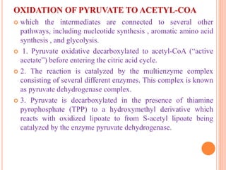 OXIDATION OF PYRUVATE TO ACETYL-COA
 which the intermediates are connected to several other
pathways, including nucleotide synthesis , aromatic amino acid
synthesis , and glycolysis.
 1. Pyruvate oxidative decarboxylated to acetyl-CoA (“active
acetate”) before entering the citric acid cycle.
 2. The reaction is catalyzed by the multienzyme complex
consisting of several different enzymes. This complex is known
as pyruvate dehydrogenase complex.
 3. Pyruvate is decarboxylated in the presence of thiamine
pyrophosphate (TPP) to a hydroxymethyl derivative which
reacts with oxidized lipoate to from S-acetyl lipoate being
catalyzed by the enzyme pyruvate dehydrogenase.
 