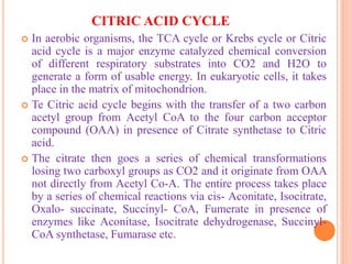 CITRIC ACID CYCLE
 In aerobic organisms, the TCA cycle or Krebs cycle or Citric
acid cycle is a major enzyme catalyzed chemical conversion
of different respiratory substrates into CO2 and H2O to
generate a form of usable energy. In eukaryotic cells, it takes
place in the matrix of mitochondrion.
 Te Citric acid cycle begins with the transfer of a two carbon
acetyl group from Acetyl CoA to the four carbon acceptor
compound (OAA) in presence of Citrate synthetase to Citric
acid.
 The citrate then goes a series of chemical transformations
losing two carboxyl groups as CO2 and it originate from OAA
not directly from Acetyl Co-A. The entire process takes place
by a series of chemical reactions via cis- Aconitate, Isocitrate,
Oxalo- succinate, Succinyl- CoA, Fumerate in presence of
enzymes like Aconitase, Isocitrate dehydrogenase, Succinyl-
CoA synthetase, Fumarase etc.
 