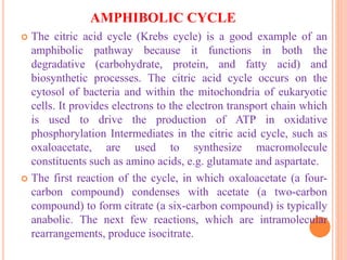 AMPHIBOLIC CYCLE
 The citric acid cycle (Krebs cycle) is a good example of an
amphibolic pathway because it functions in both the
degradative (carbohydrate, protein, and fatty acid) and
biosynthetic processes. The citric acid cycle occurs on the
cytosol of bacteria and within the mitochondria of eukaryotic
cells. It provides electrons to the electron transport chain which
is used to drive the production of ATP in oxidative
phosphorylation Intermediates in the citric acid cycle, such as
oxaloacetate, are used to synthesize macromolecule
constituents such as amino acids, e.g. glutamate and aspartate.
 The first reaction of the cycle, in which oxaloacetate (a four-
carbon compound) condenses with acetate (a two-carbon
compound) to form citrate (a six-carbon compound) is typically
anabolic. The next few reactions, which are intramolecular
rearrangements, produce isocitrate.
 