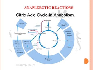 ANAPLEROTIC REACTIONS
 