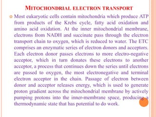 MITOCHONDRIAL ELECTRON TRANSPORT
 Most eukaryotic cells contain mitochondria which produce ATP
from products of the Krebs cycle, fatty acid oxidation and
amino acid oxidation. At the inner mitochondrial membrane,
electrons from NADH and succinate pass through the electron
transport chain to oxygen, which is reduced to water. The ETC
comprises an enzymatic series of electron donors and acceptors.
Each electron donor passes electrons to more electro-negative
acceptor, which in turn donates these electrons to another
acceptor, a process that continues down the series until electrons
are passed to oxygen, the most electronegative and terminal
electron acceptor in the chain. Passage of electron between
donor and acceptor releases energy, which is used to generate
proton gradient across the mitochondrial membrane by actively
pumping protons into the inner-membrane space, producing a
thermodynamic state that has potential to do work.
 