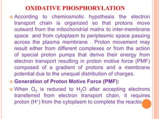 OXIDATIVE PHOSPHORYLATION
 According to chemiosmotic hypothesis the electron
transport chain is organized so that protons move
outward from the mitochondrial matrix to inter-membrane
space and from cytoplasm to periplasmic space passing
across the plasma membrane . Proton movement may
result either from different complexes or from the action
of special proton pumps that derive their energy from
electron transport resulting in proton motive force (PMF)
composed of a gradient of protons and a membrane
potential due to the unequal distribution of charges.
 Generation of Proton Motive Force (PMF):
 When O2 is reduced to H2O after accepting electrons
transferred from electron transport chain, it requires
proton (H+) from the cytoplasm to complete the reactio
 