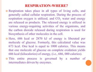 RESPIRATION-WHERE?
 Respiration takes place in all types of living cells, and
generally called cellular respiration. During the process of
respiration oxygen is utilized, and CO2 water and energy
are released as products. The released energy is utilized in
various energy-requiring activities of the organisms, and
the carbon dioxide released during respiration is used for
biosynthesis of other molecules in the cell.
 Here, 686 kcal or 2870 kJ of energy is liberated per
molecule of glucose. Formerly, this calculated value was
673 kcal. One kcal is equal to 1000 calories. This means
that one molecule of glucose on complete oxidation yields
686 kcal (kilocalories) of energy, (i.e., 686, 000 calories).
 This entire process is governed by a number of
intermediates driven by enzymes.
 