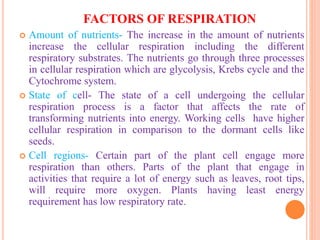 FACTORS OF RESPIRATION
 Amount of nutrients- The increase in the amount of nutrients
increase the cellular respiration including the different
respiratory substrates. The nutrients go through three processes
in cellular respiration which are glycolysis, Krebs cycle and the
Cytochrome system.
 State of cell- The state of a cell undergoing the cellular
respiration process is a factor that affects the rate of
transforming nutrients into energy. Working cells have higher
cellular respiration in comparison to the dormant cells like
seeds.
 Cell regions- Certain part of the plant cell engage more
respiration than others. Parts of the plant that engage in
activities that require a lot of energy such as leaves, root tips,
will require more oxygen. Plants having least energy
requirement has low respiratory rate.
 